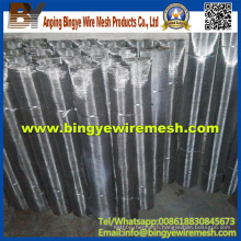 Stainless Steel Wire Mesh for Window Screen